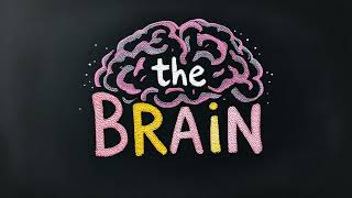 The brain is composed of specialized cells called neurons [upl. by Zins]