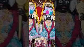 Jay Siddheshwar Mahadev Junagadh Dham 3 11 24 aarti [upl. by Dion]