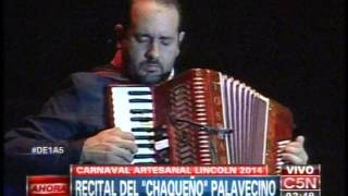 C5N  MUSICA RECITAL DEL CHAQUEÑO PALAVECINO EN LINCOLN [upl. by Frederick]