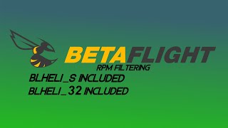 Betaflight 41 RPM Filtering Setup Guide  BlHeliS ESC Included Under 10 mins [upl. by Philina529]