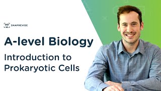 Introduction to Prokaryotic Cells  Alevel Biology  OCR AQA Edexcel [upl. by Chrysler]