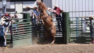 Bull riding Middle Park 2018 Rodeo [upl. by Valina]