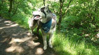 Naden ValleyAshworth Valley Rochdale [upl. by Smiley431]