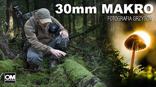 30mm MAKRO  Fotografia Grzybów  Dzika Irlandia  OM System [upl. by Ninerb]