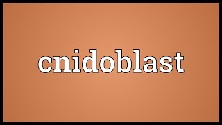 Cnidoblast Meaning [upl. by Dorri977]