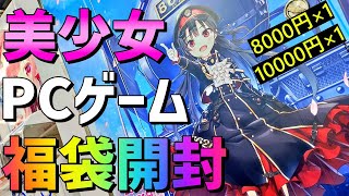 【2024年福袋】秋葉原で購入した美少女PCゲーム福袋を開封！ [upl. by Quiteri]