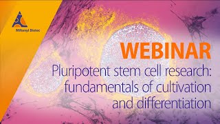 Pluripotent stem cell research fundamentals of cultivation and differentiation WEBINAR [upl. by Norrabal]