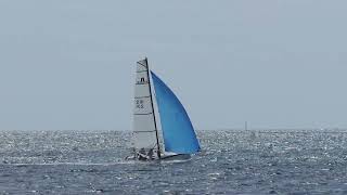 Nacra F18  Spinnaker [upl. by Emalee]