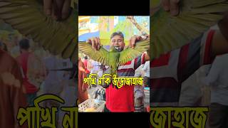 পাখি নাকি উড়োজাহাজ। ytshorts macaw birds [upl. by Hasina797]