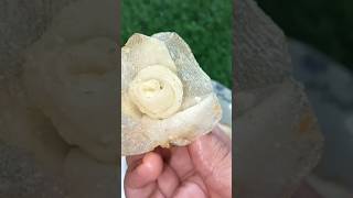 🥔🌸Unique potato flower fry crispy trendingviralvideocookwithsana [upl. by Antonie481]