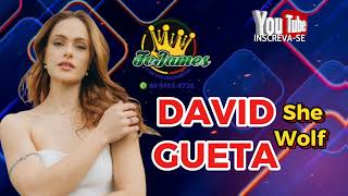 REGGAE REMIX INTERNACIONAL  DAVID GUETA SHE WOLF FCJAMES [upl. by Andonis]