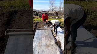 Amazing Farming Activites by Rural Farmer  Seedbed Mulching shorts youtubeshorts [upl. by Nerfe]