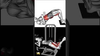 Hamstrings workout at Gym Hamstrings workout at home leg workout lagsworkouthamstringsworkout [upl. by Eerat719]