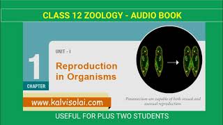 TN  CLASS 12 BIOLOGY ZOOLOGY  CHAPTER 1  REPRODUCTION IN ORGANISMS  BOOK BACK 1 MARK  AUDIOBOOK [upl. by Sorips]