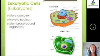 Types of Cells [upl. by Aliuqaj462]