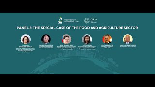 Panel 5  XXIX HLM quotPathway to COP29 Sustainable and Resilient Futurequot [upl. by Anotal]