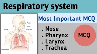 Respiratory system MCQ Most Important MCQ nose pharynx larynx Kiran maurya [upl. by Lidah]