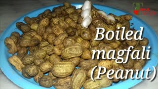 Boiled magfali Peanut bafeli magfali બાફેલી મગફળી tech sejal recipe [upl. by Felten]