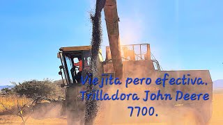 Descarga de frijol trilladora John Deere 7700 [upl. by Katherin339]