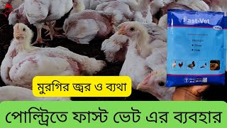 পোল্ট্রিতে ফাস্ট ভেট এর ব্যবহার [upl. by Humph]