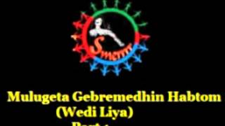 Mulugeta Gebremedhin Habtom Wedi Liya  Eye Witness Account On PFDJ Crimes  Part 1 [upl. by Hailahk]