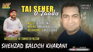 TAE SEHER O JADU Shezi kharani  Balochi new song  Mashup SONG sad song [upl. by Lazes161]