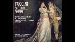 15 Recondita armonia Instrumental  Tosca Act I  Giacomo Puccini [upl. by Couchman]