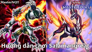 Nhập môn Master Duel part 35  Hướng dẫn chơi Salamangreat deck  New combo  Salamangreat guide [upl. by Yliah122]