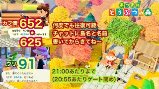 【あつ森】2024113 カブ価652･625ampウリ912100あたりまで【チャットに島名と名前書いてからきてね〜】 [upl. by Quackenbush412]