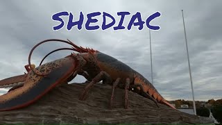 New Brunswicks Acadian Coast Part 1 Shediac [upl. by Jeuz599]