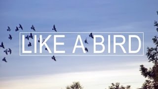 River Rhyme  Like A Bird Official Music Video [upl. by Redienhcs]