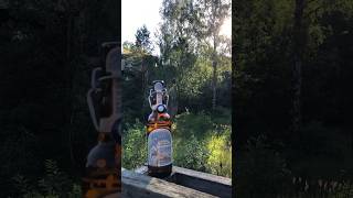 🍺 Bierchen im Wald 26062024 1904 Uhr beer nature summer [upl. by Antipas162]