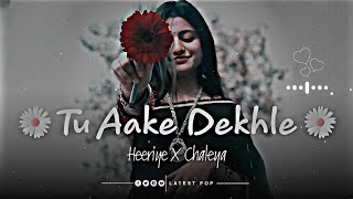 Tu Aake Dekhle X Heeriye X Chaleya Insta Mashup  revibe  Viral Insta Reels TikTok Remix [upl. by Chouest]