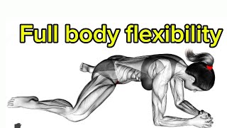 The Ultimate AtHome Flexibility Routine [upl. by Gefell]