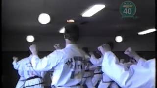 Park Jung Tae  Do San Tul ITF TaekwonDo Seminar Dublin 1987 [upl. by Santoro]