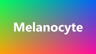 Melanocyte  Medical Definition and Pronunciation [upl. by June]