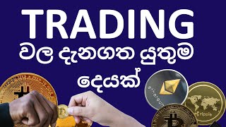 Forex Trading Sinhalacrypto trading sri lanka best tradercrypto trading sinhalentrading sinhalen [upl. by Goldina96]