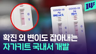 “정상 항원은 보라색 변이 항원은 분홍색”… 코로나19 변이 잡아내는 신속 진단 키트 국내 개발  14F [upl. by Anora]