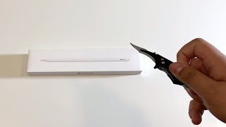 Apple Pencil 2 Unboxing [upl. by Wiese]