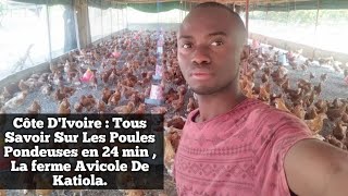 Côte DIvoire  Tous Savoir Sur Les Poules Pondeuses en 24 min  La ferme Avicole De Katiola [upl. by Ianthe]