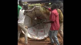 Voodoo Festival Benin Alada [upl. by Emirej]