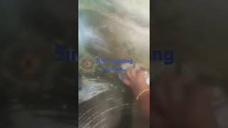 Kitchen sink cleaning process [upl. by Elwyn]