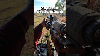 300Blk Subsonic from 200350 yards… 🔔👀 300subs 300blackout asmr [upl. by Debby]