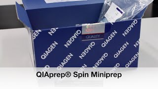 Protocol 8 Miniprep QIAprep Spin Kit [upl. by Arrik]