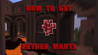 Nether Wart Farm TutorialGuide Hypixel Skyblock [upl. by Chalmers]