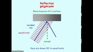 Waves 05 a  Reflection amp Refraction [upl. by Elleynod949]