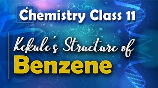 Kekule’s Structure of Benzene  Aromatic Compounds  Chemistry Class 11 [upl. by Opportina]