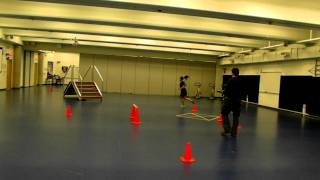 RCMP  GRC PARE  TAPE Physical Abilities Requirement Evaluation [upl. by Nnayecats]