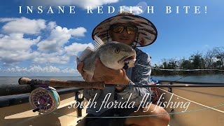 EPIC day fly fishing for redfish in south Florida post hurricane chew [upl. by Nwahsan115]