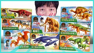 공룡메카드 더블피규어 매머드디모르포돈사스타사우루스카르카로돈토사우루스프시타코사우루스오우라노사우루스아크로칸토사우루스니게르사우루스 8종류 미니 장난감을 언박싱 합니다 [upl. by Beryle]